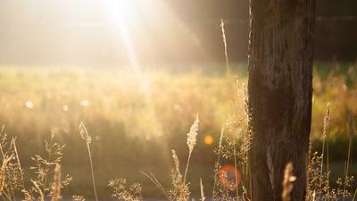 进击的巨人